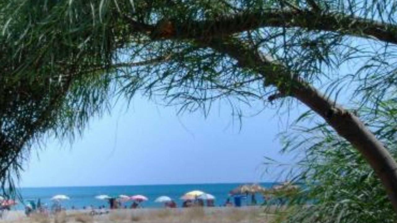 Casa Vacanze " Mela " Nova Siri Dış mekan fotoğraf